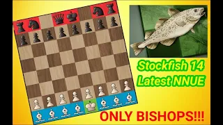 Stockfish 14 With Bishops Vs Chess.com[Maximum Level 25]