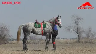 Аскат менен Көк Мончок 🔥🔥🔥