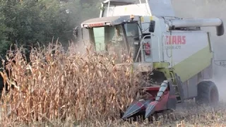 Mais Dreschen 2015 | Claas Lexion 470 & Olimac Drago