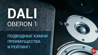 Dali Oberon 1 мы протестировали, сделали обзор, тест, и поставили рейтинг датским полочникам!