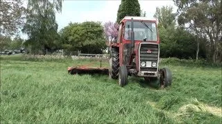 mowing for silage with an MF 265 and Fahr mower
