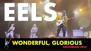 EELS  - Wonderful, Glorious (Live in Amsterdam 2023) 4K