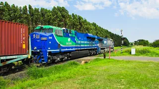 Trem Intermodal da Brado Seguindo Viagem para o Pátio de Tutóia em Araraquara -SP