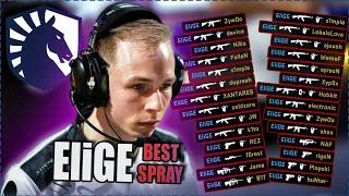 ЛУЧШИЙ СПРЕЙ CS:GO NA? | EliGE ХАЙЛАЙТЫ КСГО