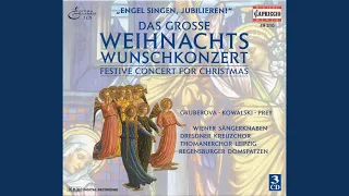 Weihnachtsoratorium, BWV 248, Pt. 2: Christmas Oratorio, BWV 248, Part II: Sinfonia