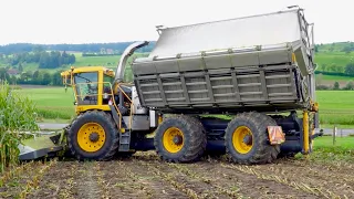 Flotter «Chäfer»: Eigenbau-Bunkerhäcksler von Bucher Erntetechnik AG