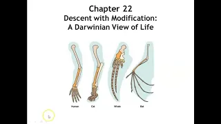 Chapter 22: Descent with Modification: A Darwinian View of Life