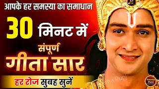 संपूर्ण गीता सार 30 मिनट में | Shrimad  Bhagwat Geeta Saar in 30 Minutes | Gita Updesh #geetasaar