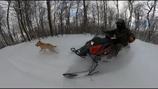 Snowmobile riding 2020-2021