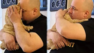 Man Never Wanted a Cat, But This Stray Cat Didn't Leave Him Chance