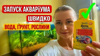 Швидкий запуск акваріума на 20 літрів || Вода, ґрунт, рослини для акваріума🐠🐡🐟