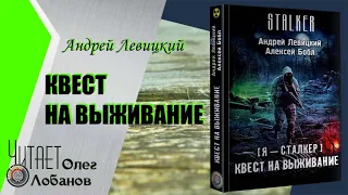 Андрей Левицкий, Алексей Бобл. Квест на выживание. Серия S.T.A.L.K.E.R.  [ Я - Сталкер].