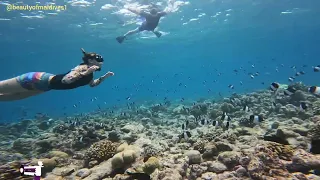 beach Cottage Rasdhoo Snorkeling 🤿 guest from italy and Turkey