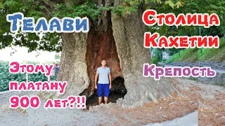 Грузия. Кахетия. Телави. Крепость Царя Ираклия 2. Мы уезжаем....... Август 2019.