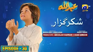 Abdullah Episode 30 | Shukar Guzaar - [Eng Sub] Haroon Shahid - Sumbul Iqbal | 21st April 2023