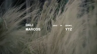 MARCOS YTZ - DALÍ (Video Oficial)