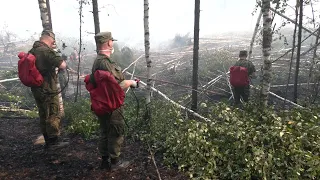 В Марий Эл тушат торфяные пожары