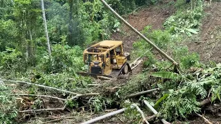 CAT D6R XL Bulldozer Repairs Decades of Abandoned Land