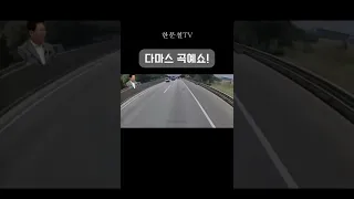 다마스 곡예쇼!