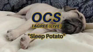 OCS - I Agree (from "Live in Los Angeles") - Sleep Potato (Unofficial Music Video)