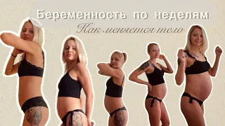 Как меняется тело во время беременности | PREGNANCY TRANSFORMATION | Беременность по неделям