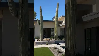 $8M dollar paradise valley mansion. Would you live here? #scottsdale #youtube #shortvideo #shortfeed