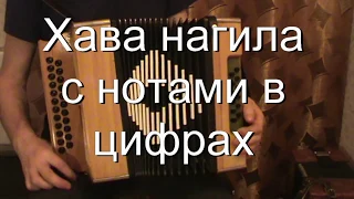 Хава нагила с нотами в цифрах