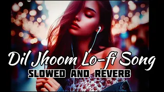 Dil Jhoom Lo-fi Songs||Dil Jhoom Slowed and Reverb song||8D use Headphones||@Mr.Raj2521 #newsong