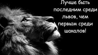 Давиду можно, Мухаммед (с. а. в.) нельзя - по мнению Алана. Alan Martel и его двойные стандарты.