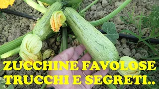 ZUCCHINE FAVOLOSE! TUTORIAL TRUCCHI,SEGRETI E CONSIGLI PRATICI!