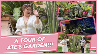 PLANTITA : ATE ALICE'S GARDEN TOUR! | Small Laude