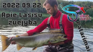 #32 Lašišų žvejyba - Apie lašišų žvejybą ir kaip pagauti lašišą spiningu. Neries upė