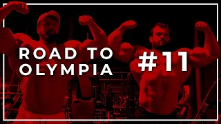 Die Luft brennt! | Andrea Presti & Emir Omeragic | ROAD TO OLYMPIA #11