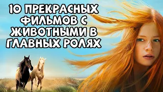 10 прекрасных фильмов с животными в главных ролях