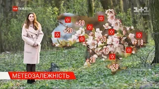 В Україні очікується потепління до +20 градусів - Метеозалежність