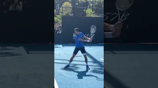 NOVAK DJOKOVIC Slow-Motion Forehand & Backhand 🎾🇷🇸 #Djokovic #Tennis #Shorts