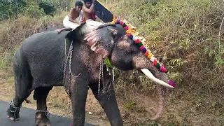 പഞ്ചമല പൂരം