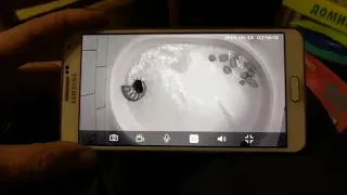 Автоматический кошачий туалет "OneGog" 1,0