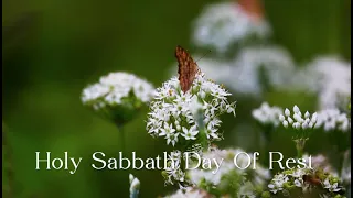381 SDA Hymn - Holy Sabbath Day Of Rest (Singing w/ Lyrics)