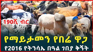 አስገራሚው የ2016 የትንሳዔ በዓል የበሬ ገበያ | በሬ 190ሺ ብር |የበሬ ዋጋ| Easter holiday market review| Tirita Review