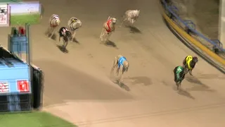 Ipswich-Wednesday-24042024-Race-1