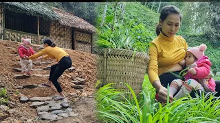 How to build a staircase from stream stone to a bamboo house | Harvest the garden of chives to sell