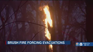 Large brush fire forces evacuations in Sarasota Co.