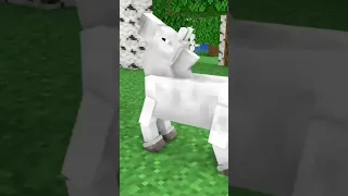 The Sad Life Of The Horse - Monster School Minecraft Animation