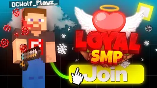 My Application for Loyal SMP [SEASON 3]