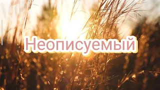 Неописуемый(минус/караоке)