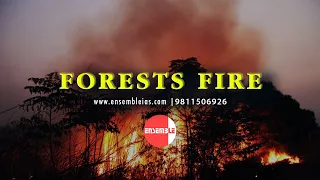 FOREST FIRE | ENSEMBLE IAS