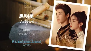 Venus (启明星) - 侯明昊 (Hou Ming Hao) || Back From The Brink (护心) OST || Han/Pin/Eng Lyric Video