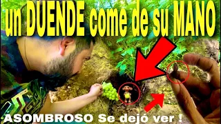 Duendes hablan por primera vez su voz no es de este mundo parte 36 duende grabando llorando