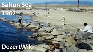 1967 Salton Sea